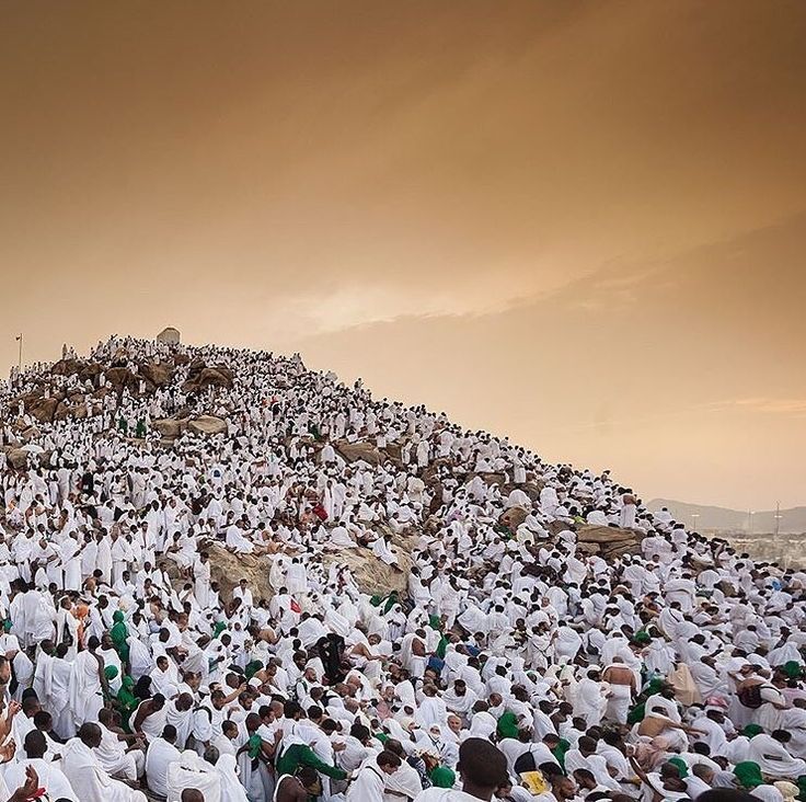 Arafah dan Pelajaran yang Sering Terlambat Kita Ajarkan pada Anak